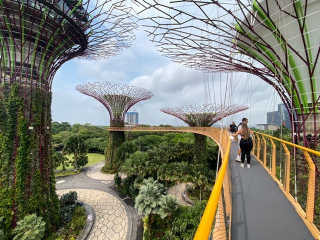 People walking on a raised walkway among the Supertrees